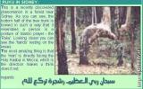الصورة الرمزية shemo_memo