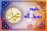 الصورة الرمزية عيسى كمال