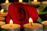 الصورة الرمزية عاشقه احمد