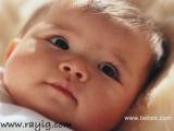 الصورة الرمزية gogo601
