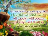 الصورة الرمزية السيد المدرس