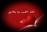الصورة الرمزية قشطه بالشطه