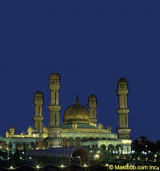 الصورة الرمزية amanyali