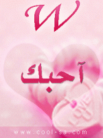 الصورة الرمزية tamer salama