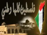 الصورة الرمزية a7med mosa