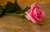 الصورة الرمزية eng_f.s