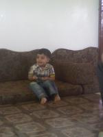 الصورة الرمزية نجيب علي
