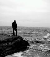 الصورة الرمزية aosa sharm