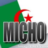 الصورة الرمزية micho