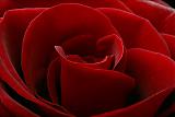 الصورة الرمزية boba92
