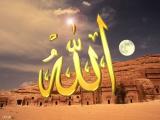 الصورة الرمزية هاني