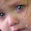 الصورة الرمزية robye