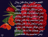 الصورة الرمزية بسكوته رابح