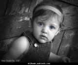 الصورة الرمزية احمد محمد عامر