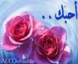 الصورة الرمزية mr m