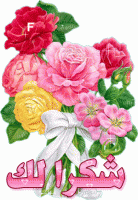 الصورة الرمزية تفاحةمن غيرلون