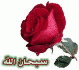 الصورة الرمزية راجية الفردوس