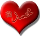 الصورة الرمزية إسراء(محبة الرسول)