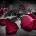 الصورة الرمزية روبى$