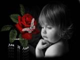 الصورة الرمزية noourlove