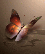 الصورة الرمزية ayocha