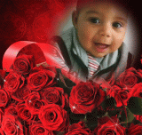 الصورة الرمزية محمود هارون