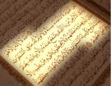 الصورة الرمزية dodi dodi